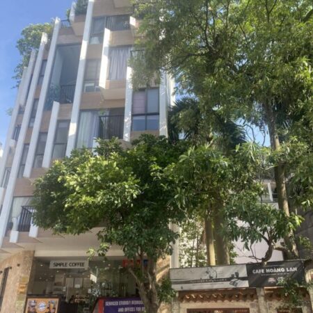 ⚜️ ĐẤT VÀNG MẶT PHỐ QUẢNG KHÁNH, TÂY HỒ 345M2 C4 MT 15M, THÔNG SỐ KIM CƯƠNG, 290 TỶ ⚜️