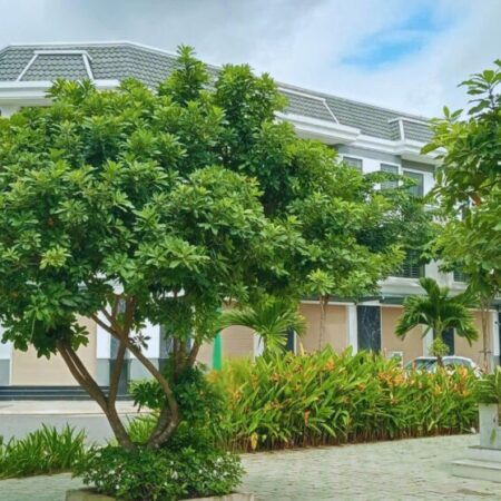 Nhà Phố Hòa Lợi 5x16m (Thổ Cư Hoàn Toàn) – Gần KCN VSIP 2, Đồng An 2, Mỹ Phước – Giá 2,66 Tỷ – Tiện Nhà Phố Hòa Lợi 5x16m (Thổ Cư Hoàn Toàn) – Gần KCN VSIP 2, Đồng An 2, Mỹ Phước – Giá 2,66 Tỷ – Tiện