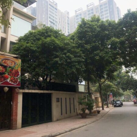 ???? BIỆT THỰ KĐT MỚI YÊN HÒA, CẦU GIẤY 163M2 5T MT 8.5M, CHỈ 57 TỶ ???? ???? BIỆT THỰ KĐT MỚI YÊN HÒA, CẦU GIẤY 163M2 5T MT 8.5M, CHỈ 57 TỶ ????