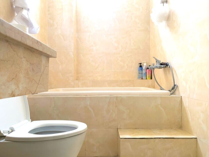 Cho Thuê Nhà Phường An Khánh Quận 2, Diện Tích 22×11, Cách Đường Trần Não 150m