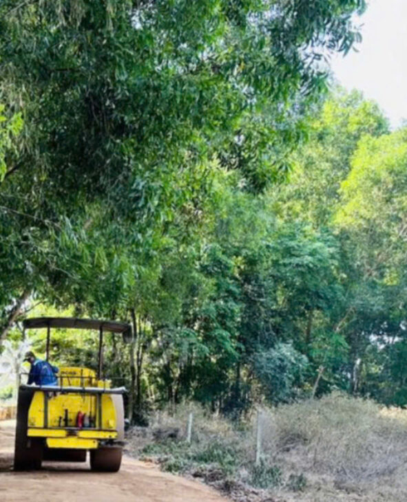 HÀNG NGỘP Chủ Giảm Sâu – Đất ĐẸP – Vị Trí Tại : Ấp Phước Hòa – Xã Phước Thạnh – Gò Dầu – Tây Ninh