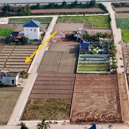 Chính chủ bán đất biển quất lâm 96m2 giá 1.2 tỷ full thổ