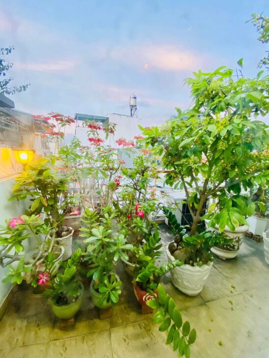 Giảm 1.3 tỷ, giá mới 7.7 tỷ còn tl, LÊ VĂN SỸ, QUẬN 3.