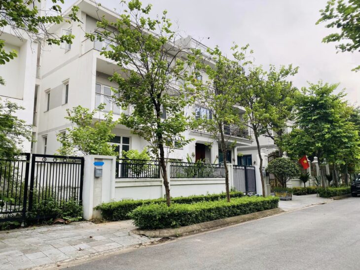 ⚜️ RẺ NHẤT K6 CIPUTRA TÂY HỔ, BIỆT THỰ ĐƠN LẬP 328M2 3.5T MT 12M, CHỈ 139 TỶ ⚜️