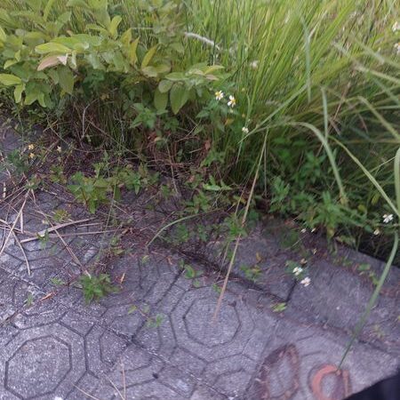 BÁN LÔ ĐẤT HUYỆN THÁI THỤY, DIỆN TÍCH 134M GIÁ CHỈ 2.13 TỶ