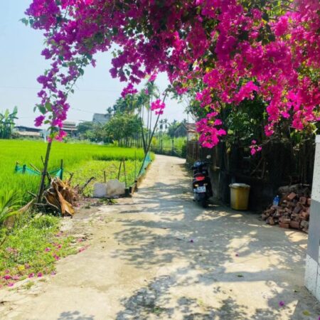 Đất Đại Nghĩa – Đại Lộc giá sập hầm