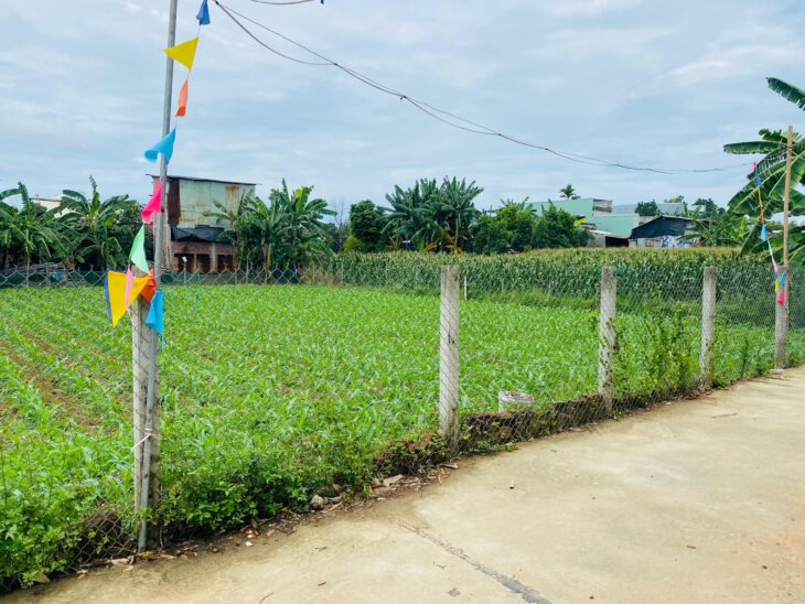 Đất Đại Cường – Đại Lộc diện tích lớn