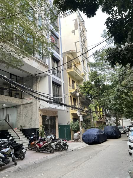 MẢNH ĐẤT ĐẸP-Ngõ 12 Đào Tấn (Linh Lang) 41m/ MT 8m – 109 Tỷ, ngõ thông, Ô tô đỗ