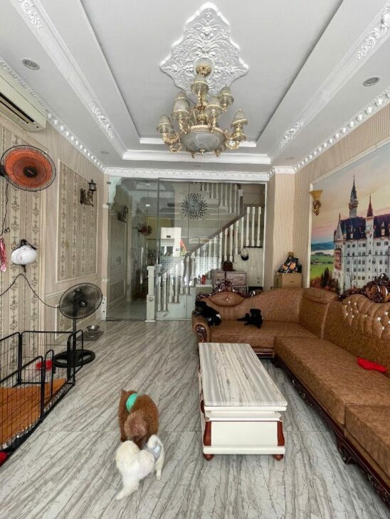 Nhà 4 Tầng Mặt tiền kinh doanh, Full nội thất, Ngang 4.2M, trung tâm Quận7, 50M2,Chỉ8.5tỷ