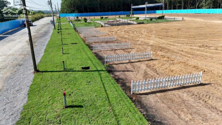 ĐẤT ĐẸP – GIÁ TỐT – Vị Trí Đắc Địa Tại Phường Chánh Phú Hoà – Thành Phố Bến Cát – Tỉnh Bình Dương