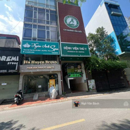 Bán gấp tòa Building mặt phố Nguyễn Khang, dòng tiền 1.8 tỷ/năm, thông sàn, vỉa hè rộng, PCCC đầy