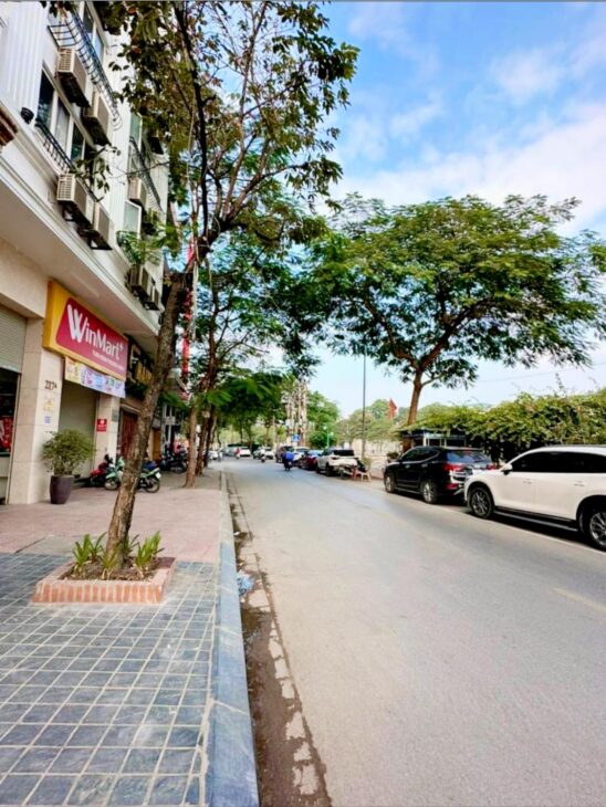 🔅Tòa Văn Phòng VIP Nhất Mặt Phố Quan Hoa, 191m2 9 Tầng 2 Thang Máy, MT 10m, Chỉ 130 Tỷ🔅