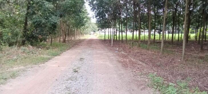 Bán đất 2197 mét mặt tiền đường Vĩnh Hòa 70, Phú Giáo, Bình Dương