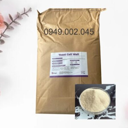 Yeast Cell Wall – Tăng cường miễn dịch, nâng cao sức đề kháng tôm cá Yeast Cell Wall – Tăng cường miễn dịch, nâng cao sức đề kháng tôm cá
