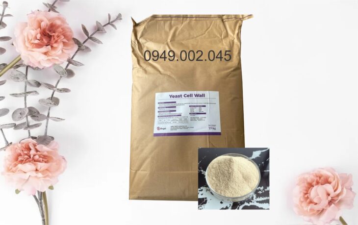 Yeast Cell Wall – Tăng cường miễn dịch, nâng cao sức đề kháng tôm cá