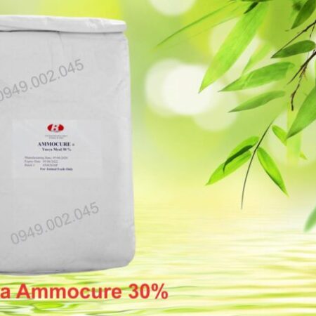 Yucca Ammocure 30 – Yucca nguyên liệu Mỹ Yucca Ammocure 30 – Yucca nguyên liệu Mỹ