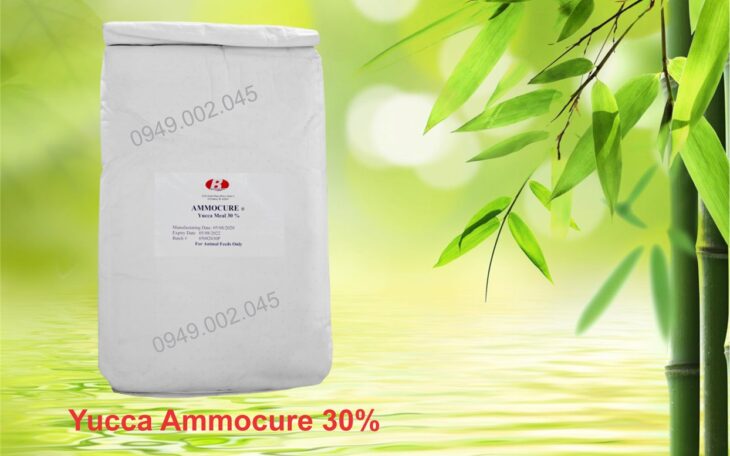 Yucca Ammocure 30 – Yucca nguyên liệu Mỹ