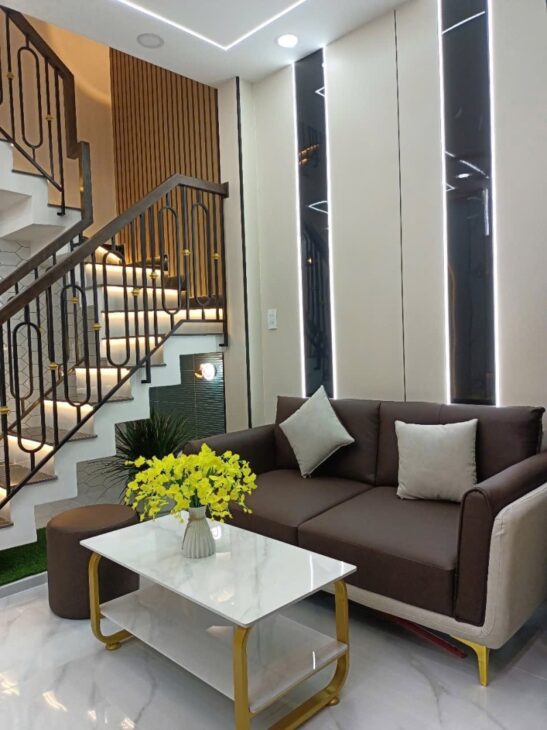 30M RA MẶT TIỀN Ô TÔ – ĐỖ THÚC TỊNH P.12 – GÒ VẤP