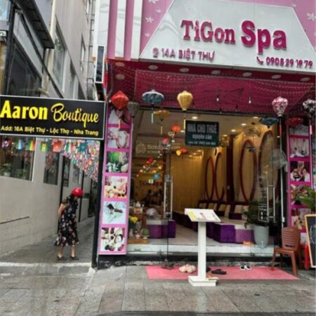 Cho thuê nhà nguyên căn khu phố Tây đường Biệt Thự Cho thuê nhà nguyên căn khu phố Tây đường Biệt Thự