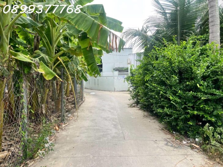 Bán lô đất Full thổ cư 263m2 Vĩnh Thạnh Nha Trang chỉ 4ty2
