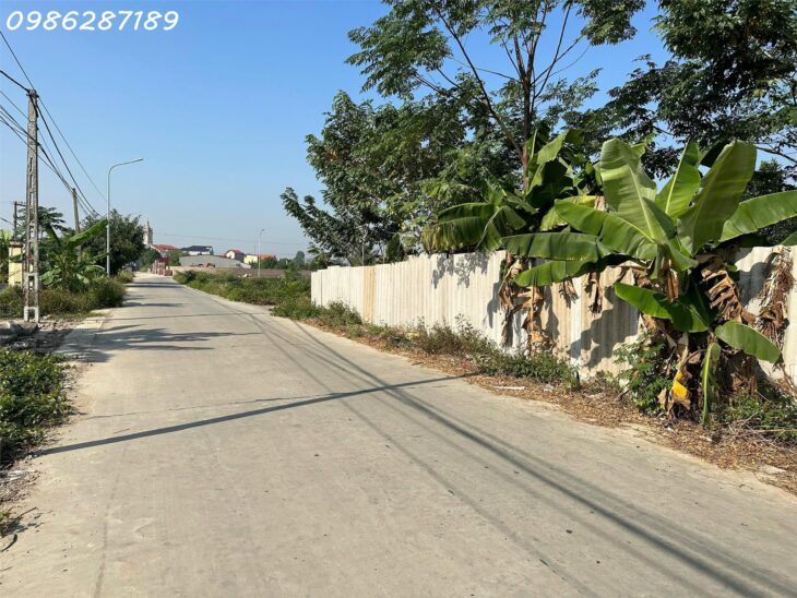 SỞ HỮU ĐẤT ĐẸP GIÁ CỰC ƯU ĐÃI TẠI TÂN LÃNG, LƯƠNG TÀI, BẮC NINH