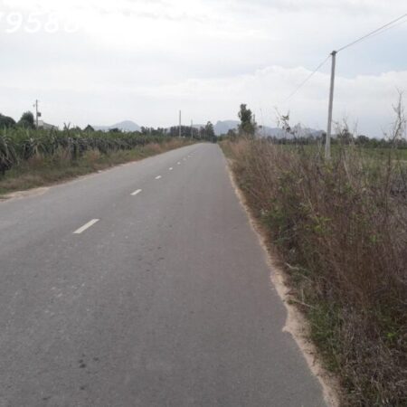 Bán 50m x 70 đất thổ cư Mai Thúc Loan, Thị xã LaGi giảm 50% chỉ 160tr/m ngang Bán 50m x 70 đất thổ cư Mai Thúc Loan, Thị xã LaGi giảm 50% chỉ 160tr/m ngang