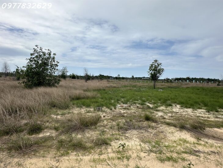 GIẢM 50% bán 1000m2 đất ONT Tân Bình – TX LaGi chỉ 1.6 tỷ gần Biển, SỔ RIÊNG