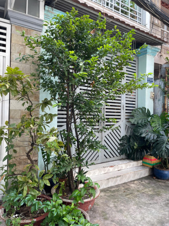 Phan Văn Trị, P11, Quận Bình Thạnh. Nhà mới, HXH, ngang 4,7m, gần mặt tiền, chỉ 5.7 tỷ.