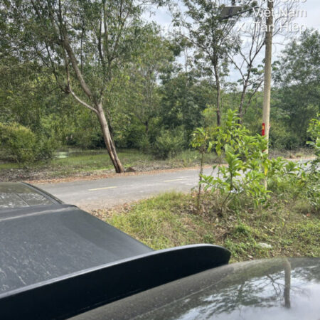 CHÍNH CHỦ CẦN BÁN GẤP ĐẤT Ở TÂN HIỆP, PHÚ GIÁO, BÌNH DƯƠNG