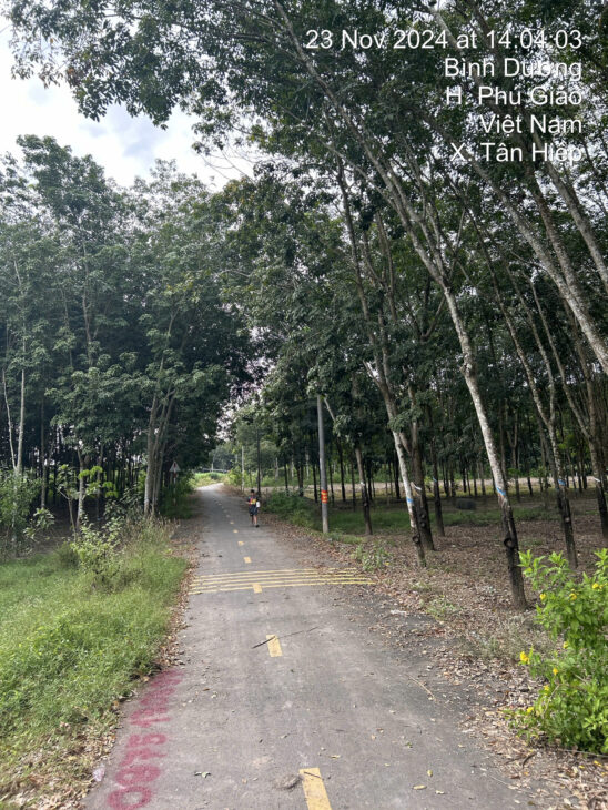 CHÍNH CHỦ CẦN BÁN GẤP ĐẤT Ở TÂN HIỆP, PHÚ GIÁO, BÌNH DƯƠNG