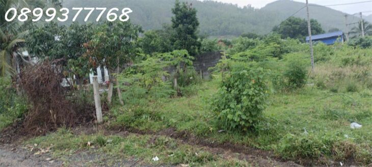 Bán gấp lô đất mặt tiền Tỉnh lộ 3 Phước Đồng Nha Trang