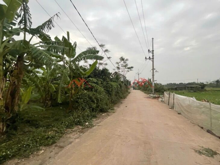 GIÁ 2TY580 ĐẤT ĐẠI YÊN-CHƯƠNG MỸ D/T:79,9M