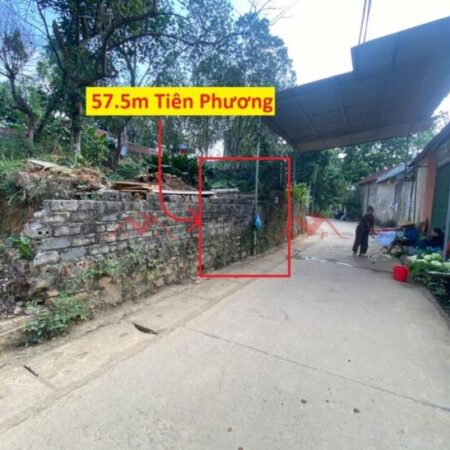 GIÁ CHỈ 2,5 TỶ ĐẤT TẠI TIÊN PHƯƠNG-CHƯƠNG MỸ D/T:57,5M