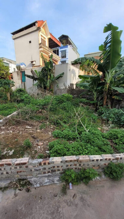 BÁN NHANH MẢNH ĐẤT GẦN 65M Ô TÔ GẦN TRỤC CHÍNH ĐẠI ÁNG THANH TRÌ GIÁ CHỈ 2.X TỶ BÁN NHANH MẢNH ĐẤT GẦN 65M Ô TÔ GẦN TRỤC CHÍNH ĐẠI ÁNG THANH TRÌ GIÁ CHỈ 2.X TỶ