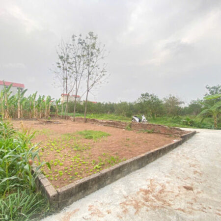 GIÁ 2,8 TỶ ĐẤT TẠI THƯỢNG VỰC-CHƯƠNG MỸ D/T:109,3M GIÁ 2,8 TỶ ĐẤT TẠI THƯỢNG VỰC-CHƯƠNG MỸ D/T:109,3M