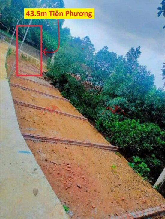 GIÁ 1,550 TỶ ĐẤT TẠI TIÊN PHƯƠNG-CHƯƠNG MỸ D/T:43,5M