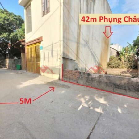 GIÁ 3 TỶ ĐẤT TẠI PHỤNG CHÂU-CHƯƠNG MỸ D/T:42M