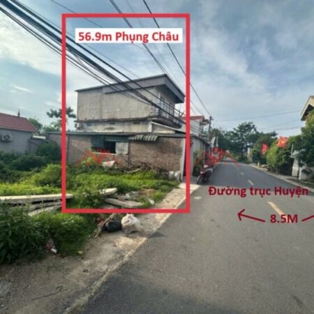 GIÁ 2,9 TỶ ĐẤT TẠI PHỤNG CHÂU-CHƯƠNG MỸ D/T:56,9M