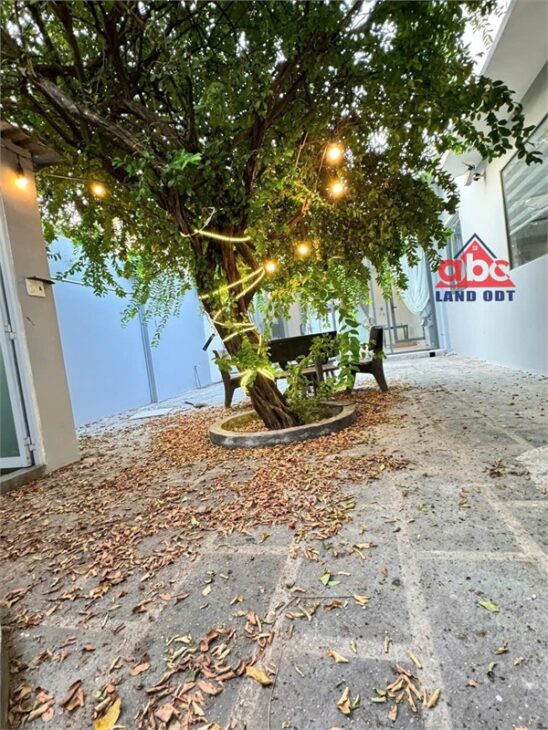 NP1084 nhà vườn thoáng mát, vị trí trung tâm biên hòa kết nối giao thông thuận lợi