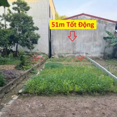 SIÊU PHẨM GIÁ 1,650 TỶ ĐẤT TẠI TỐT ĐỘNG-CHƯƠNG MỸ D/T:51M SIÊU PHẨM GIÁ 1,650 TỶ ĐẤT TẠI TỐT ĐỘNG-CHƯƠNG MỸ D/T:51M