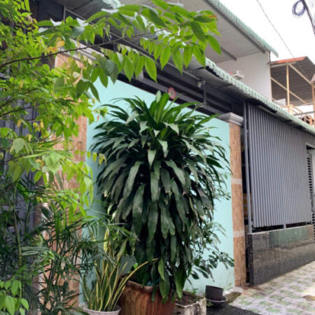 Bán nhà 140m2, 4PN, 4WC, 2 tầng, Linh Xuân, Thủ Đức, 5 tỷ