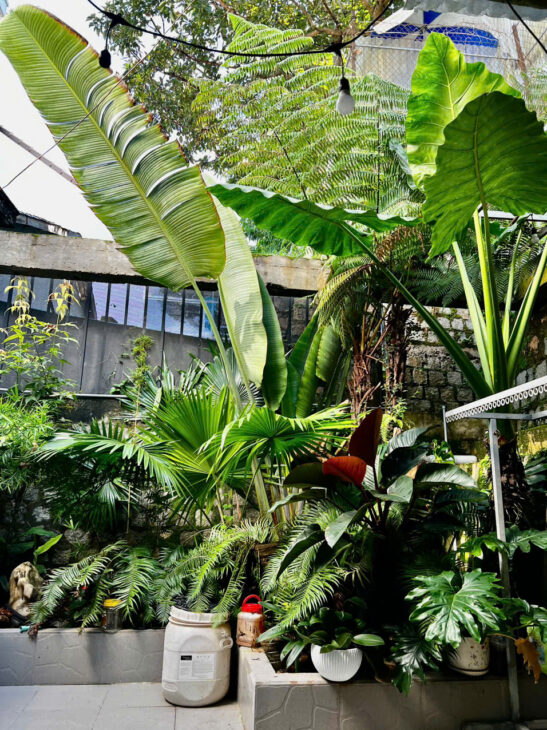 BÁN GẤP TRONG 7 NGÀY VILLA 14/34 ĐƯỜNG 3/4 THÀNH PHỐ ĐÀ LẠT. GIÁ 13,5 TỶ THƯƠNG LƯỢNG.