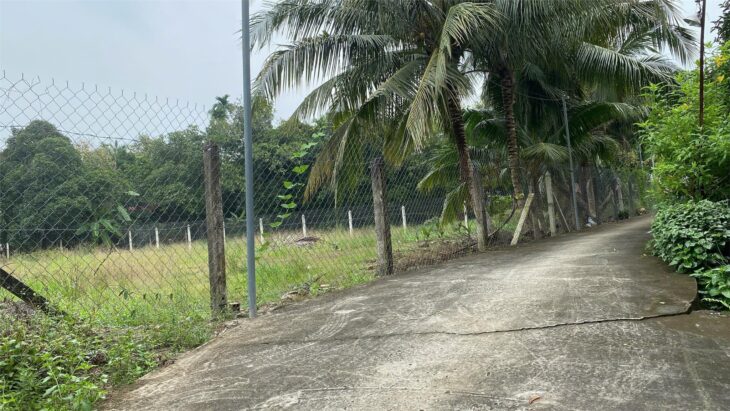 Bán đất An Sơn 32, Thuận An – 686m², thổ cư 200m², cách Vành Đai 3 chỉ 500m