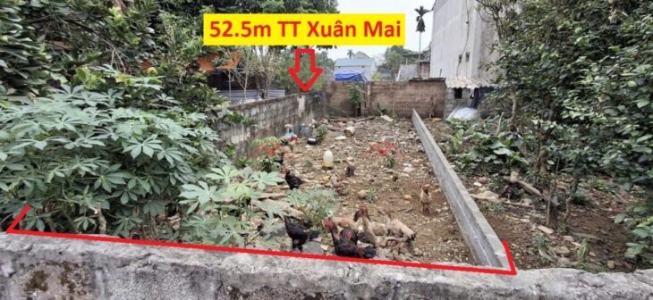 SIÊU PHẨM GIÁ 1,6 TỶ ĐẤT TẠI TT XUÂN MAI-CHƯƠNG MỸ D/T:52,5M SIÊU PHẨM GIÁ 1,6 TỶ ĐẤT TẠI TT XUÂN MAI-CHƯƠNG MỸ D/T:52,5M