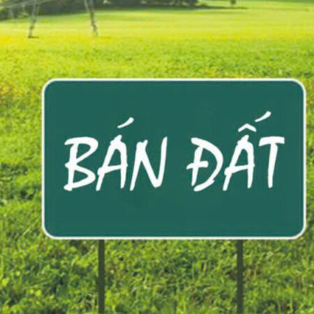 SIÊU VÍP – BÁN ĐẤT TẶNG NHÀ CẤP 4 MẶT ĐƯỜNG MIẾU 2 XÃ, LÊ CHÂN, HẢI PHÒNG SIÊU VÍP – BÁN ĐẤT TẶNG NHÀ CẤP 4 MẶT ĐƯỜNG MIẾU 2 XÃ, LÊ CHÂN, HẢI PHÒNG