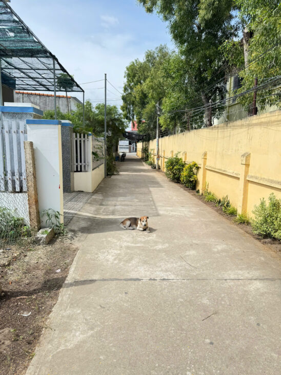 Chính Chủ Cần Bán Nhanh Lô Đất Bên cạnh trường Trần Quý Cáp, P Ninh Diêm, Ninh Hoà.