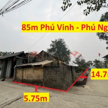 SIÊU PHẨM GIÁ 3,2 TỶ ĐẤT TẠI PHÚ NGHÃ-CHƯƠNG MỸ D/T:85M SIÊU PHẨM GIÁ 3,2 TỶ ĐẤT TẠI PHÚ NGHÃ-CHƯƠNG MỸ D/T:85M