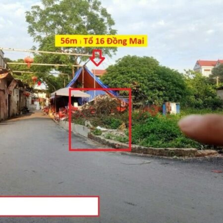SIÊU PHẨM GIÁ 3,6 TỶ ĐẤT TẠI ĐỒNG MAI-HÀ ĐÔNG D/T:56M SIÊU PHẨM GIÁ 3,6 TỶ ĐẤT TẠI ĐỒNG MAI-HÀ ĐÔNG D/T:56M