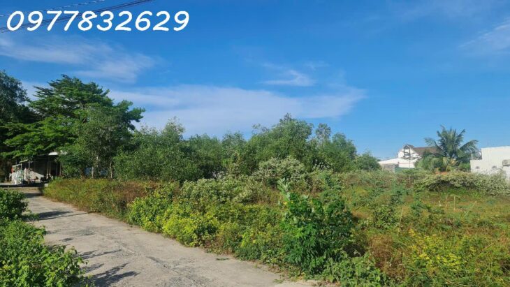 Bán gấp 42m x 38m đất ONT Hẻm Tôn Đức Thắng – TX LaGi giá ngộp chỉ 250 triệu/m ngang Bán gấp 42m x 38m đất ONT Hẻm Tôn Đức Thắng – TX LaGi giá ngộp chỉ 250 triệu/m ngang