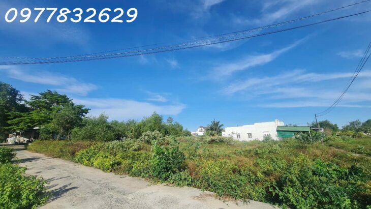 Bán gấp 42m x 38m đất ONT Hẻm Tôn Đức Thắng – TX LaGi giá ngộp chỉ 250 triệu/m ngang